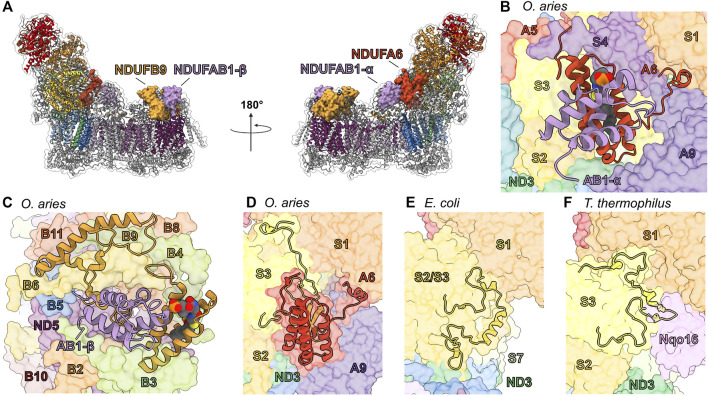 FIGURE 6