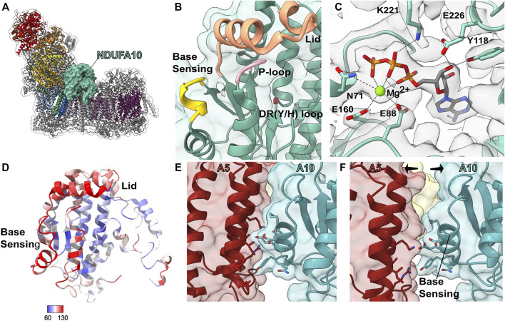 FIGURE 9