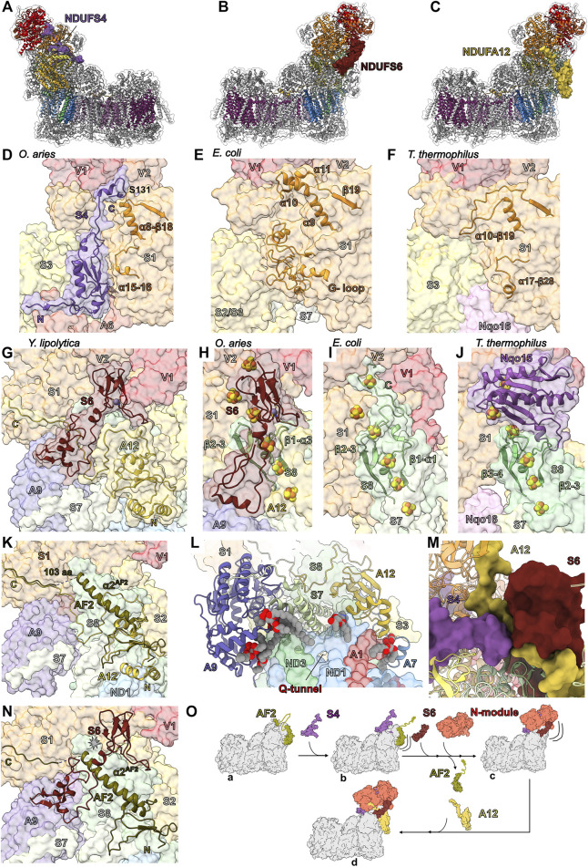 FIGURE 3