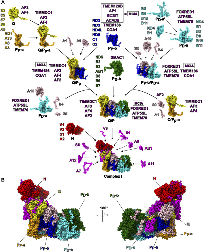 FIGURE 2