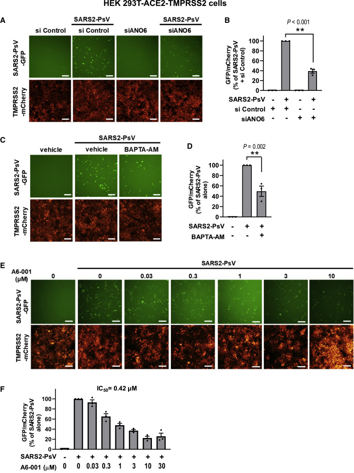 Figure 6