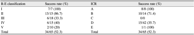 graphic file with name kjo-24-219-i003.jpg