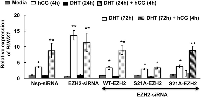 Figure 5.