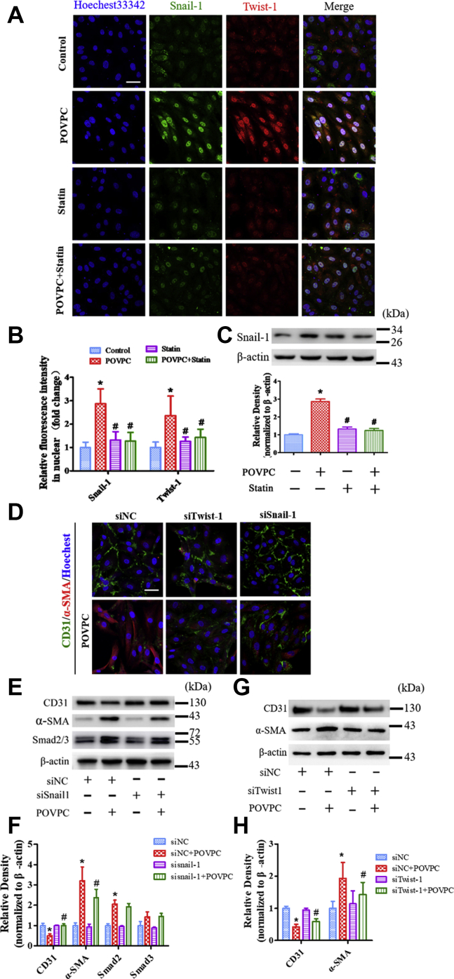 Fig. 7