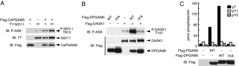 Fig. 5.