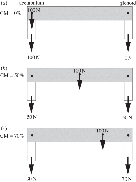 Figure 1.