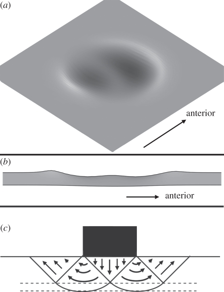 Figure 8.