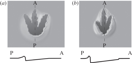 Figure 9.