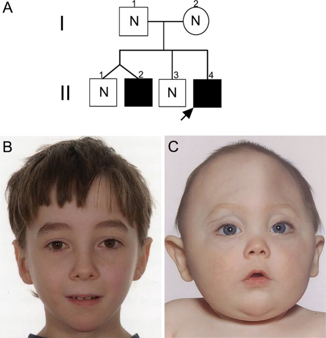 Figure 1