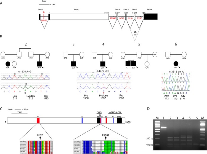 Figure 3