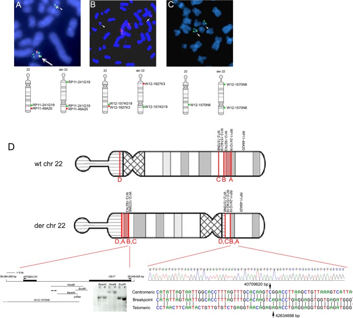 Figure 2