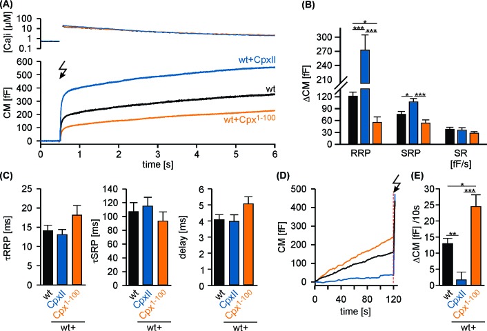 Figure 1—figure supplement 1.