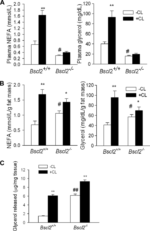 Fig 8