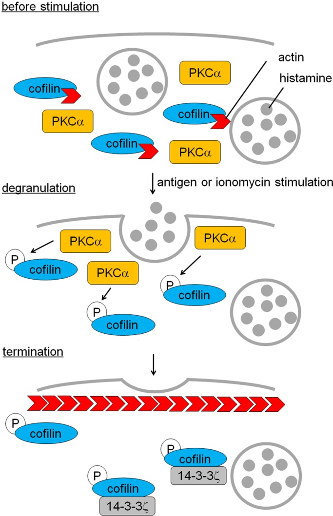 FIGURE 9: