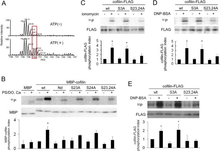 FIGURE 4: