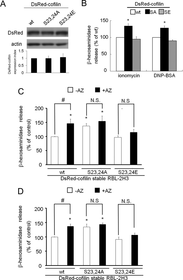 FIGURE 5: