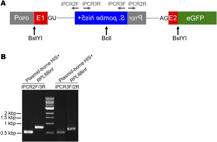 Fig. S5.