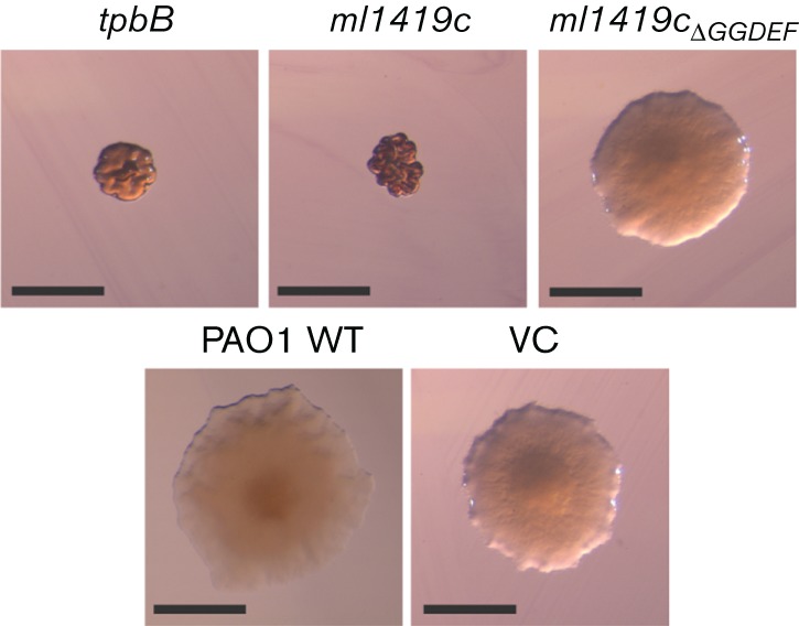 Fig. 3.