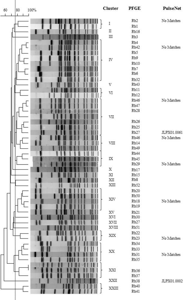 Fig 4