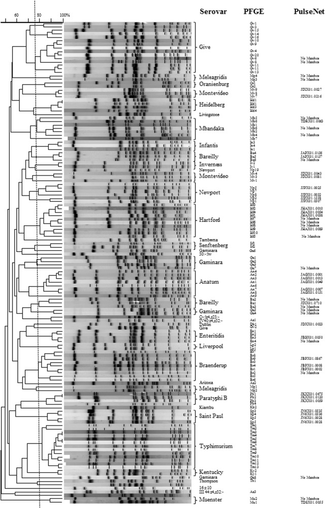 Fig 2