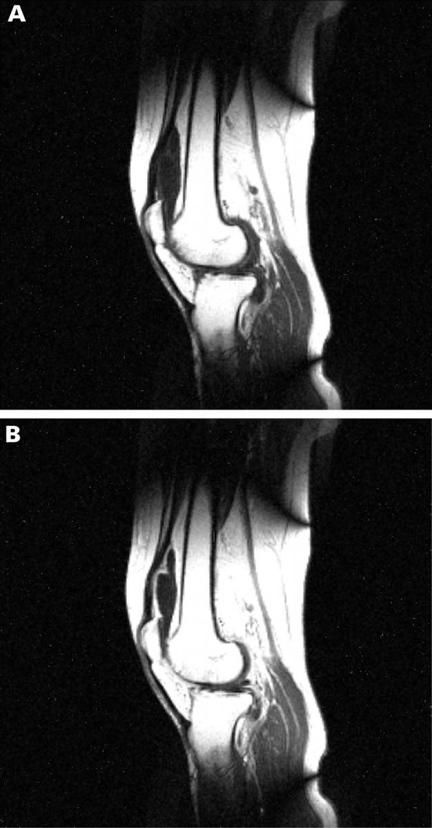 Figure 1  