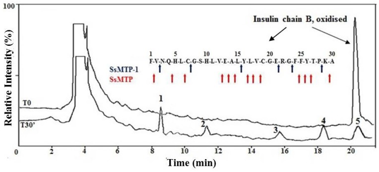 Figure 5.