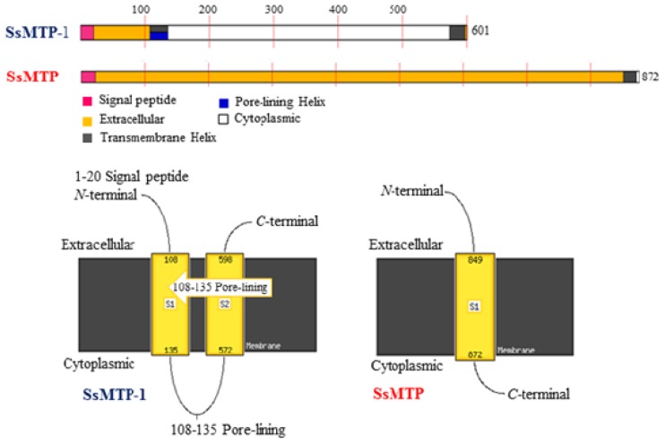 Figure 6.