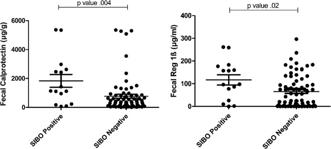 FIG 2 