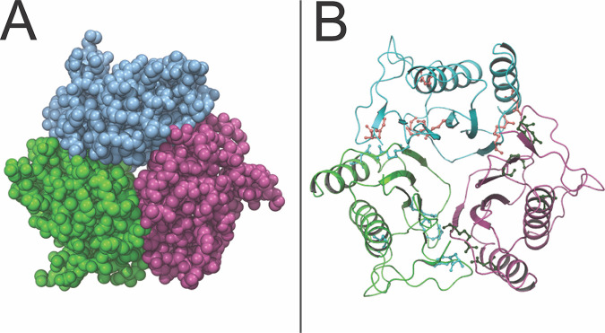 FIG 1