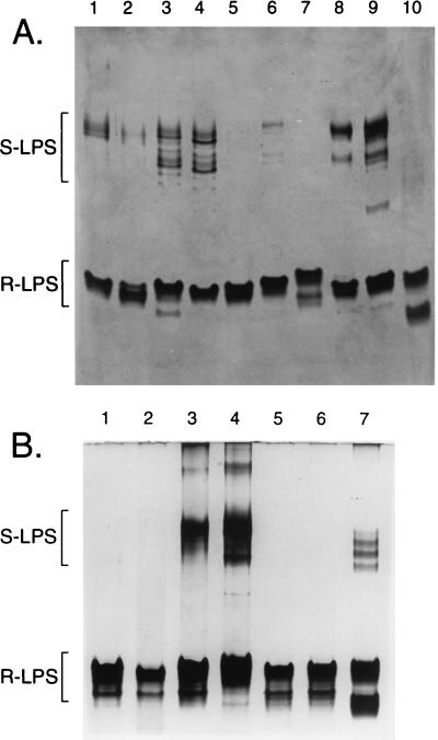 FIG. 3