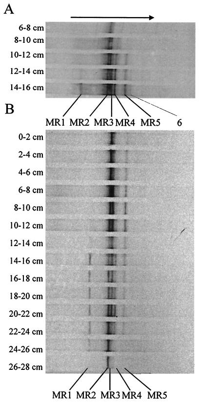 FIG. 5