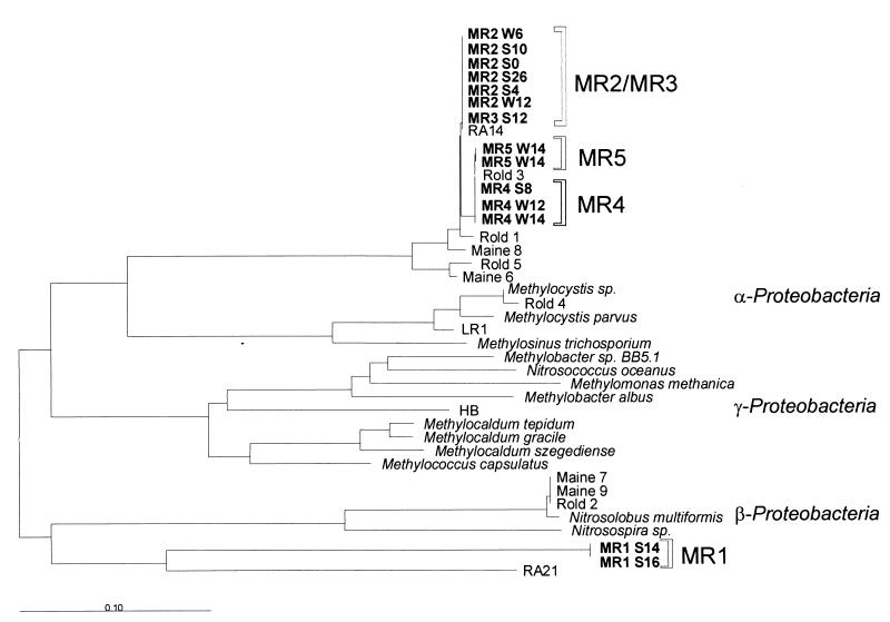 FIG. 6