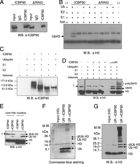 FIG. 7.