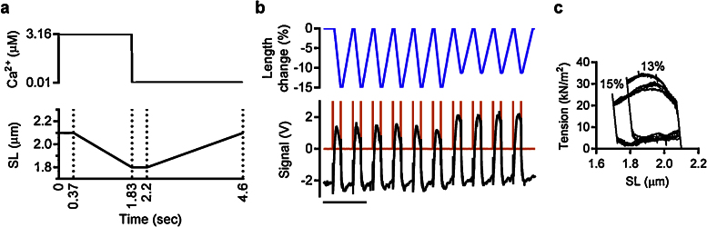 Fig. 9