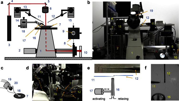 Fig. 1