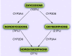 <b>Figure 1.</b>