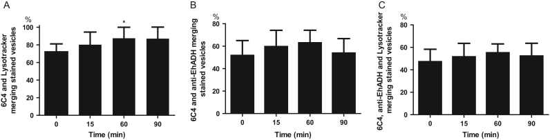 Fig. 10.