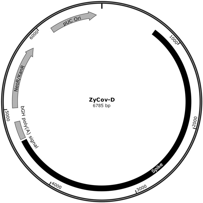 Fig. 1A