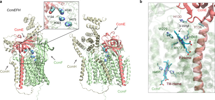 Fig. 7