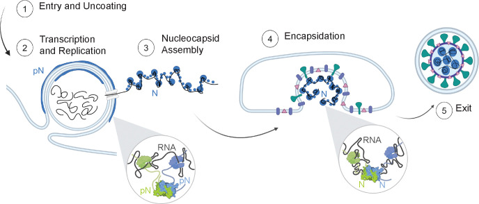 Figure 6: