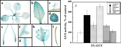 Fig. 4