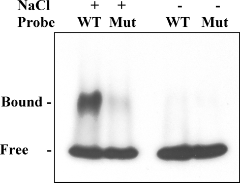 Fig. 6