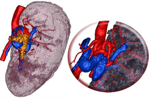 Fig. 8