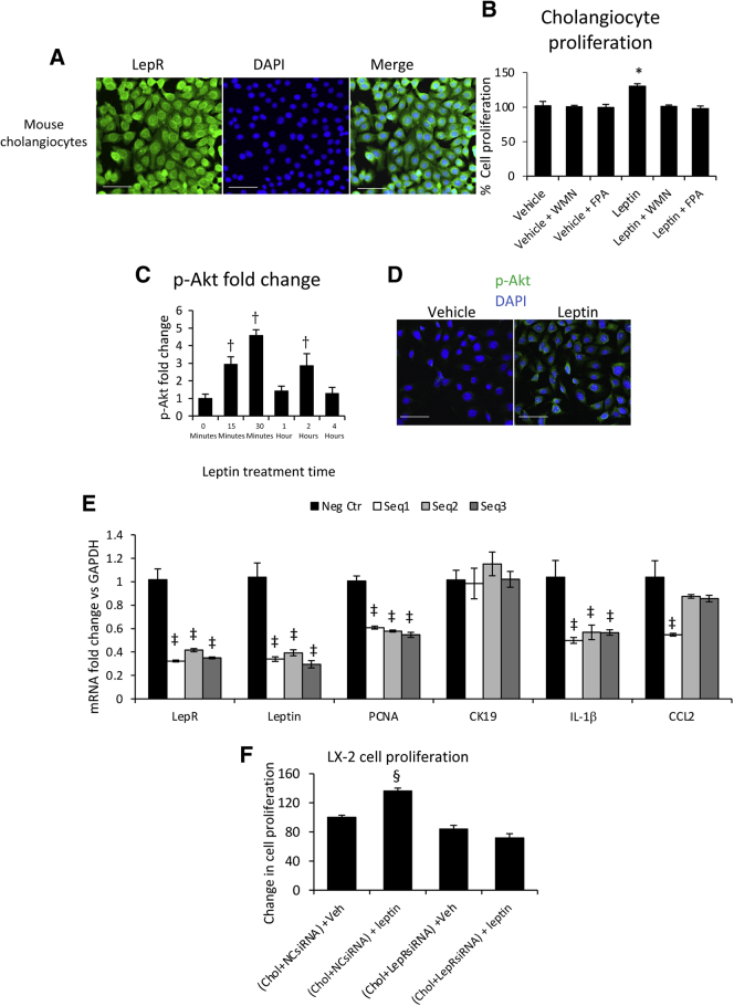 Figure 10