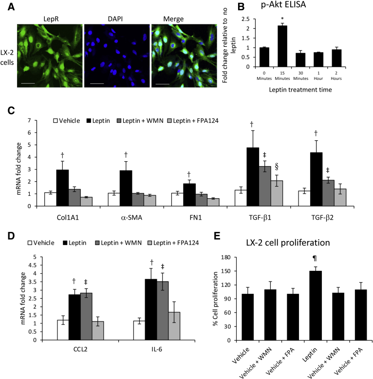 Figure 11