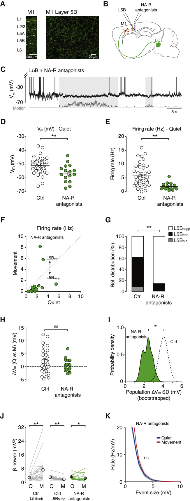 Figure 5