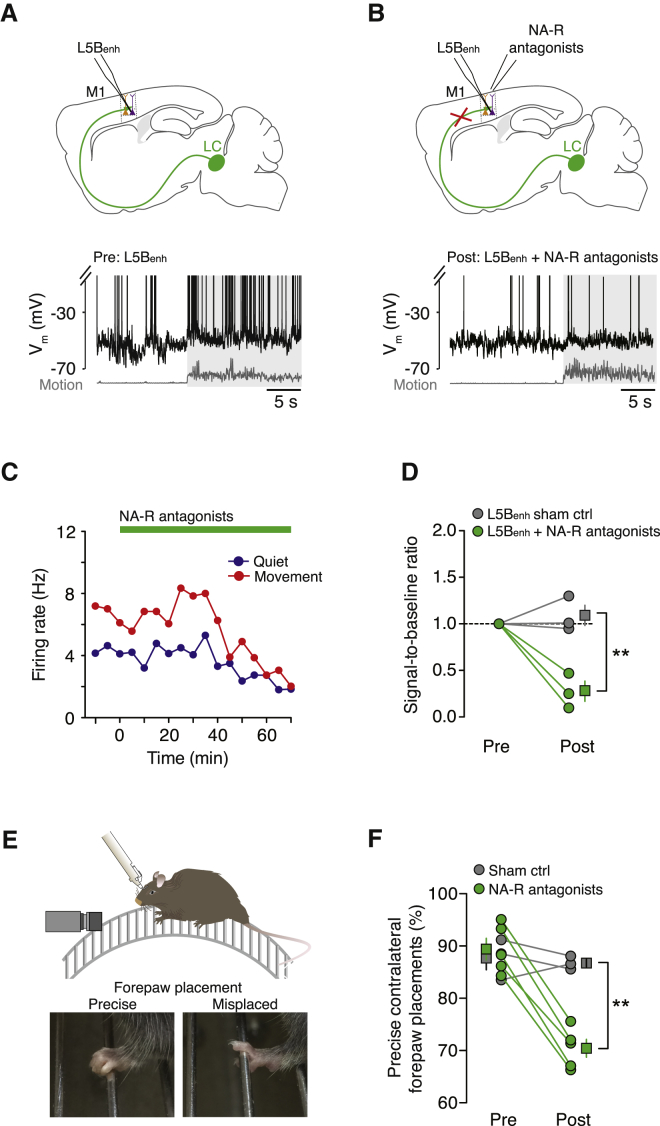 Figure 6