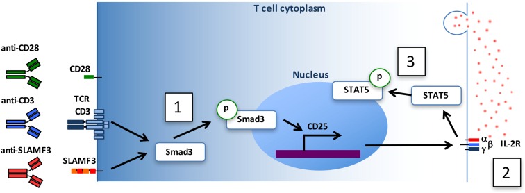 Fig. S7.