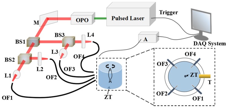 Fig. 1