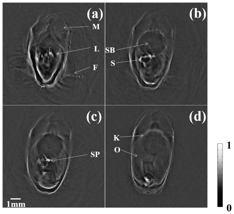 Fig. 4